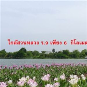 m800x1200 6.jpg